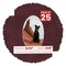 Dark Red Suede Mat Board for 8x10 Frames - Oval Opening for 5x8 Photos